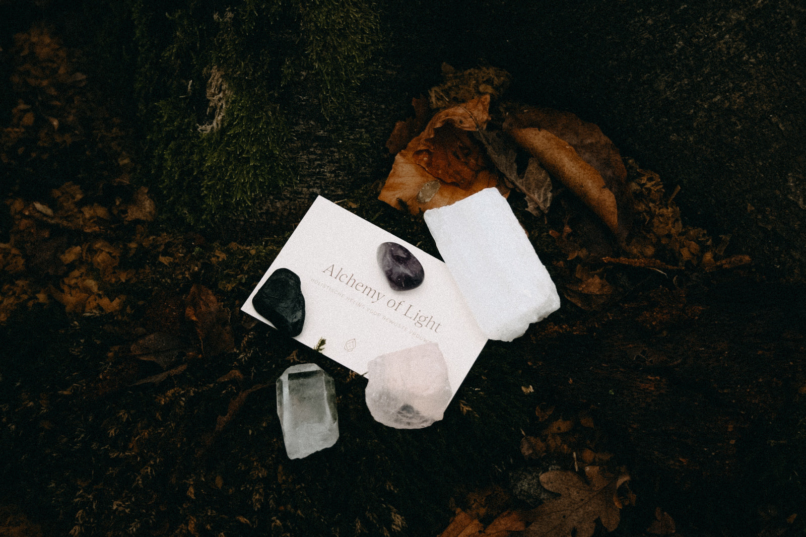Combinatie van vijf edelstenen, rozenkwarts, bergkristal, amethist, zwarte toermalijn, seleniet. Op een houten ondergrond in het bos. Met kaartje Alchemy of Light.