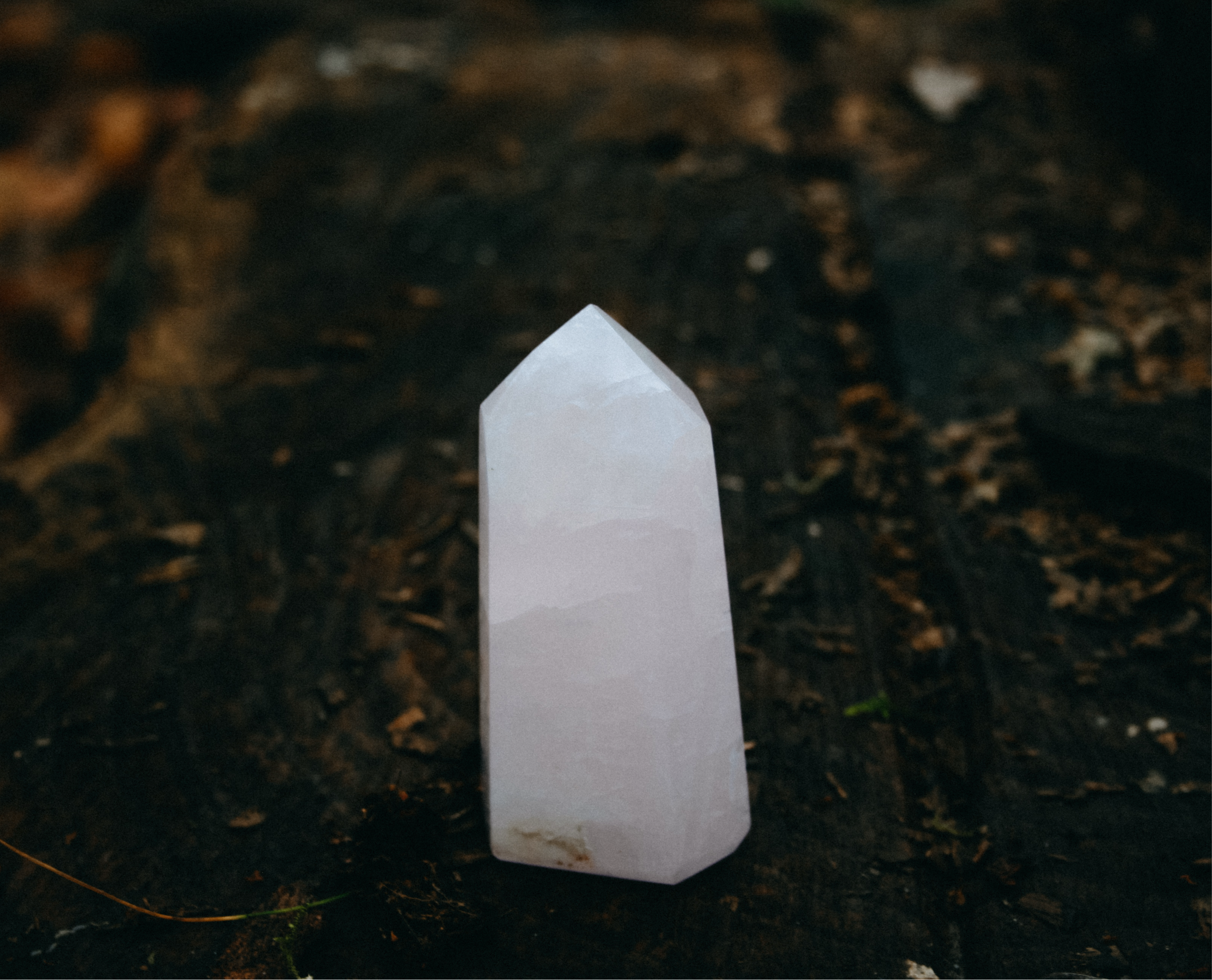 Rozenkwarts Obelisk op houten ondergrond in het bos.